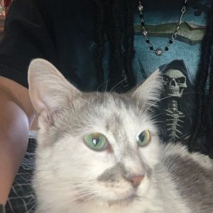 Meet your Posher, Emrys